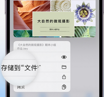 元氏apple维修中心分享iPhone文件应用中存储和找到下载文件