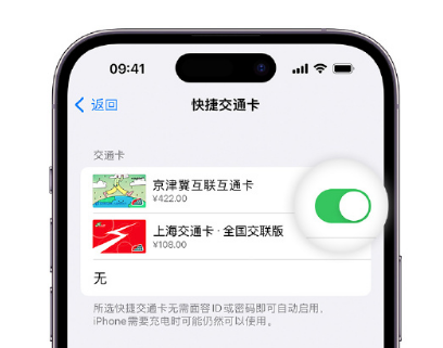 元氏apple维修点分享iPhone上更换Apple Pay快捷交通卡手绘卡面 