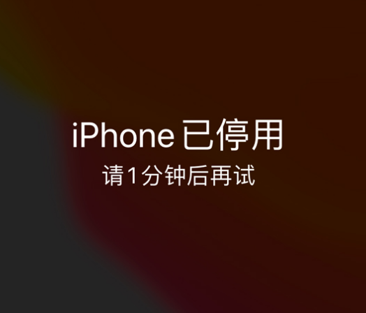 元氏苹果手机维修分享:iPhone 显示“不可用”或“已停用”怎么办？还能保留数据吗？ 