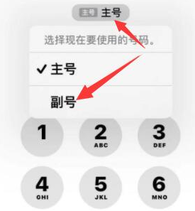 元氏苹果14维修店分享iPhone 14 Pro Max使用副卡打电话的方法 