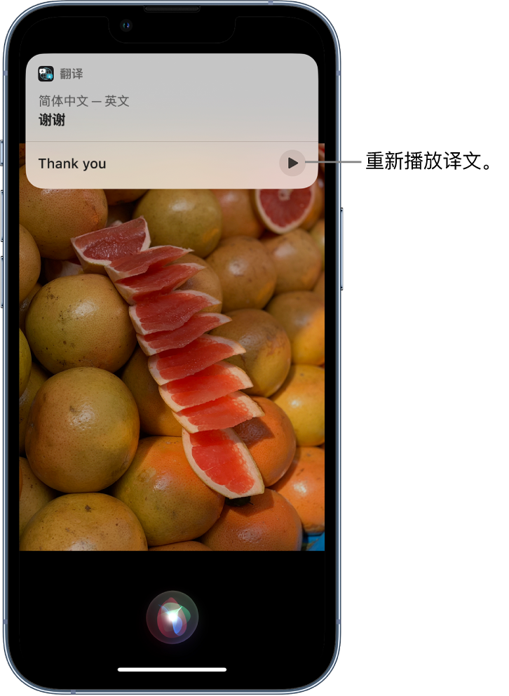 元氏苹果14维修分享 iPhone 14 机型中使用 Siri：了解 Siri 能帮你做什么 