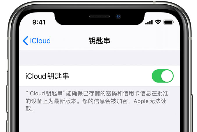 元氏苹果手机维修分享在 iPhone 上开启 iCloud 钥匙串之后会储存哪些信息 