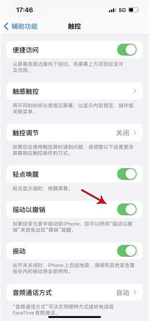 元氏苹果手机维修分享iPhone手机如何设置摇一摇删除文字 